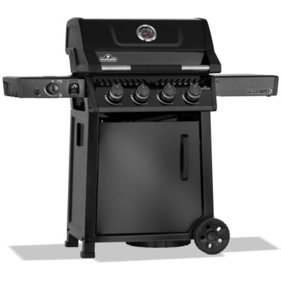 Barbecue a Gas Freestyle FP425DSIBPK 2