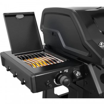 Barbecue a Gas FreeStyle PRO FP365DSIBPK