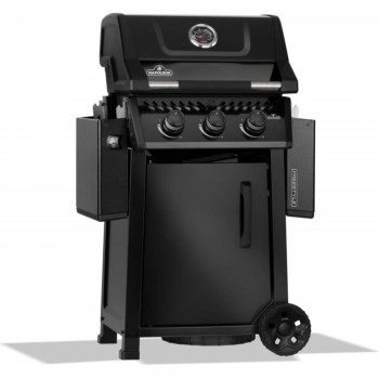 Barbecue a Gas Freestyle F365DPK