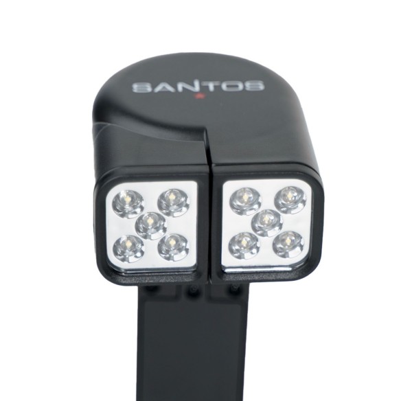 Lampada LED per Barbecue