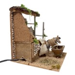 Asino che Mangia Animali per Presepe in Movimento 17x17 cm