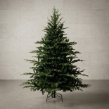 Alberi di Natale