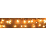 Decorazioni Luminose