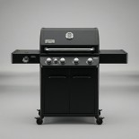 Barbecue a Gas