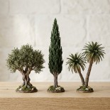 Alberi e Piante